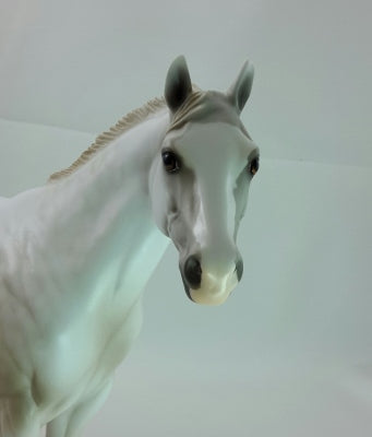 WILD TURNIP - OOAK Light Gray Stock Horse