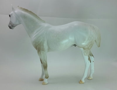 WILD TURNIP - OOAK Light Gray Stock Horse