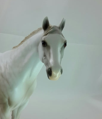 WILD TURNIP - OOAK Light Gray Stock Horse