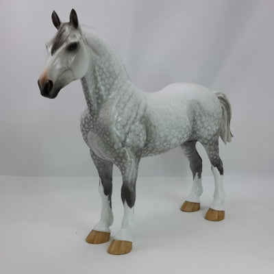 Dapple Grey Drafter Horses
