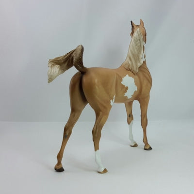 CLARICE - PALE CHESTNUT OVERO ARABIAN BY SHERYL LEISURE