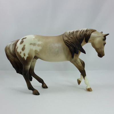CHARLIE IN THE BOX - SILVER DUN APPALOOSA by Sheryl Leisure - 11/14