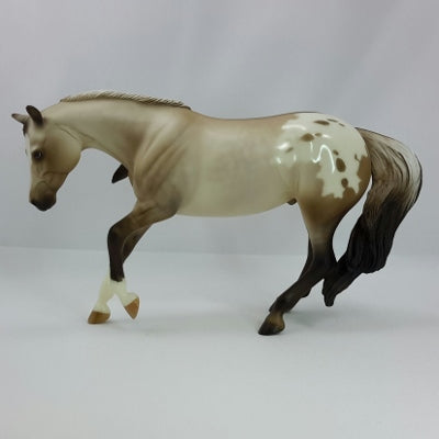 CHARLIE IN THE BOX - SILVER DUN APPALOOSA by Sheryl Leisure - 11/14
