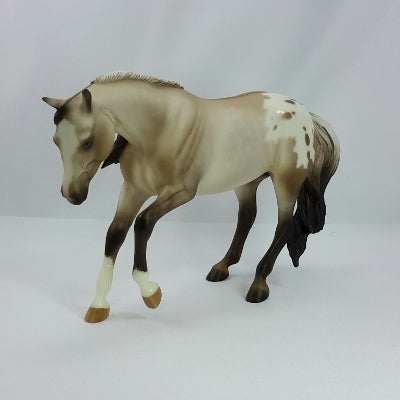 CHARLIE IN THE BOX - SILVER DUN APPALOOSA by Sheryl Leisure - 11/14