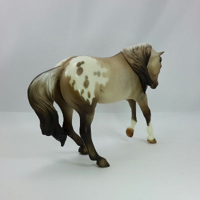 CHARLIE IN THE BOX - SILVER DUN APPALOOSA by Sheryl Leisure - 11/14