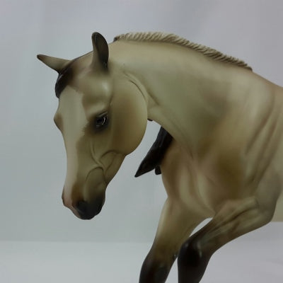 CHARLIE IN THE BOX - SILVER DUN APPALOOSA by Sheryl Leisure - 11/14