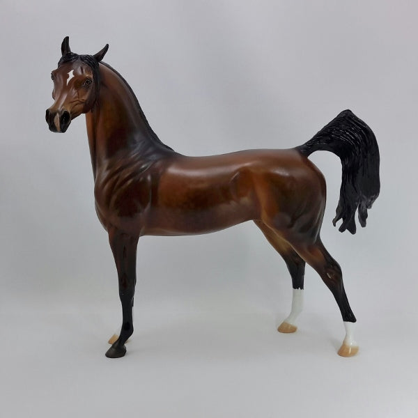 FIRST LOVE - Exquisite Dapple Bay Arabian SR5 12/14