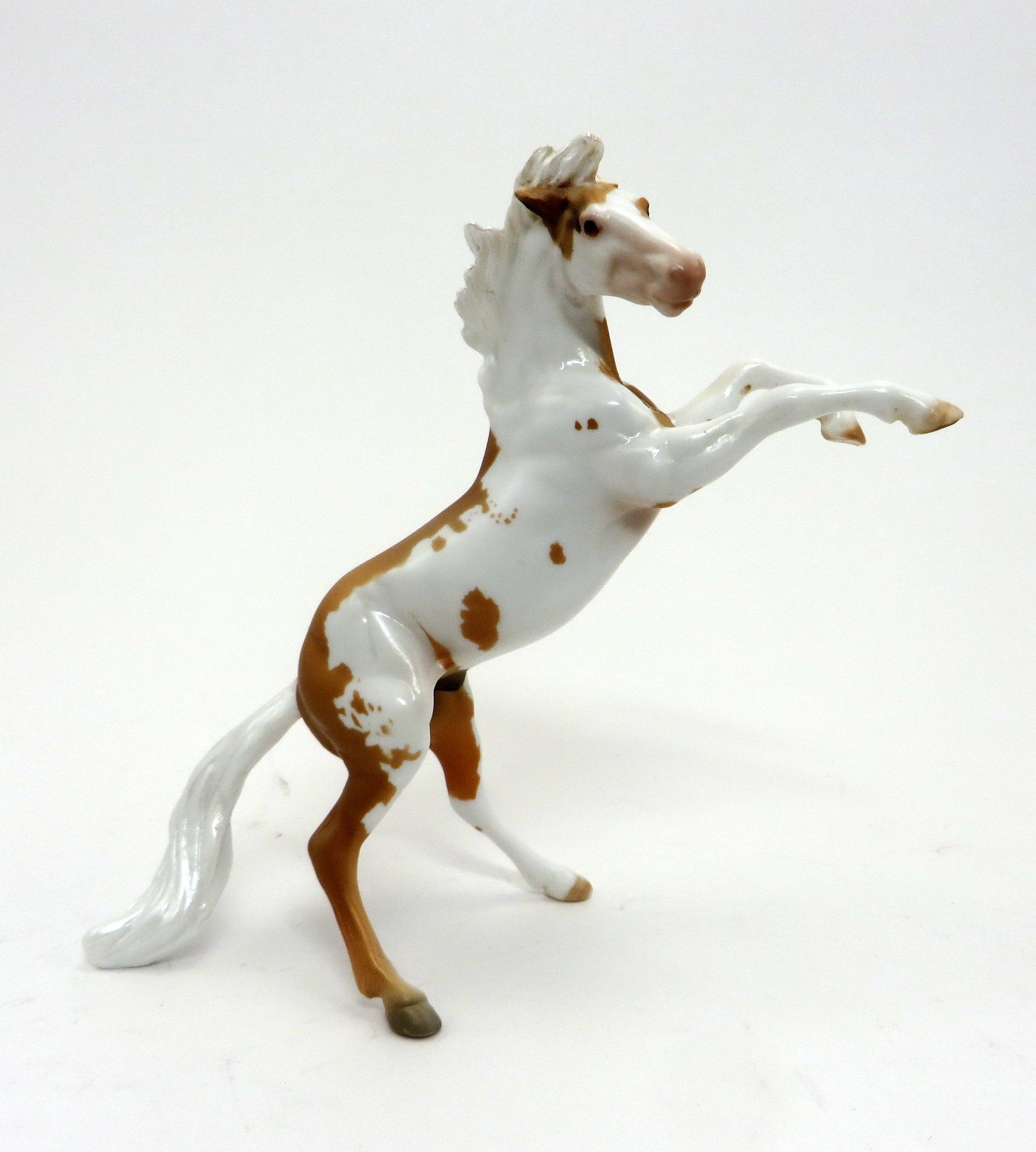 NUTTER BUTTER-Palomino Rearing Chips Paint-OOAK 9/22