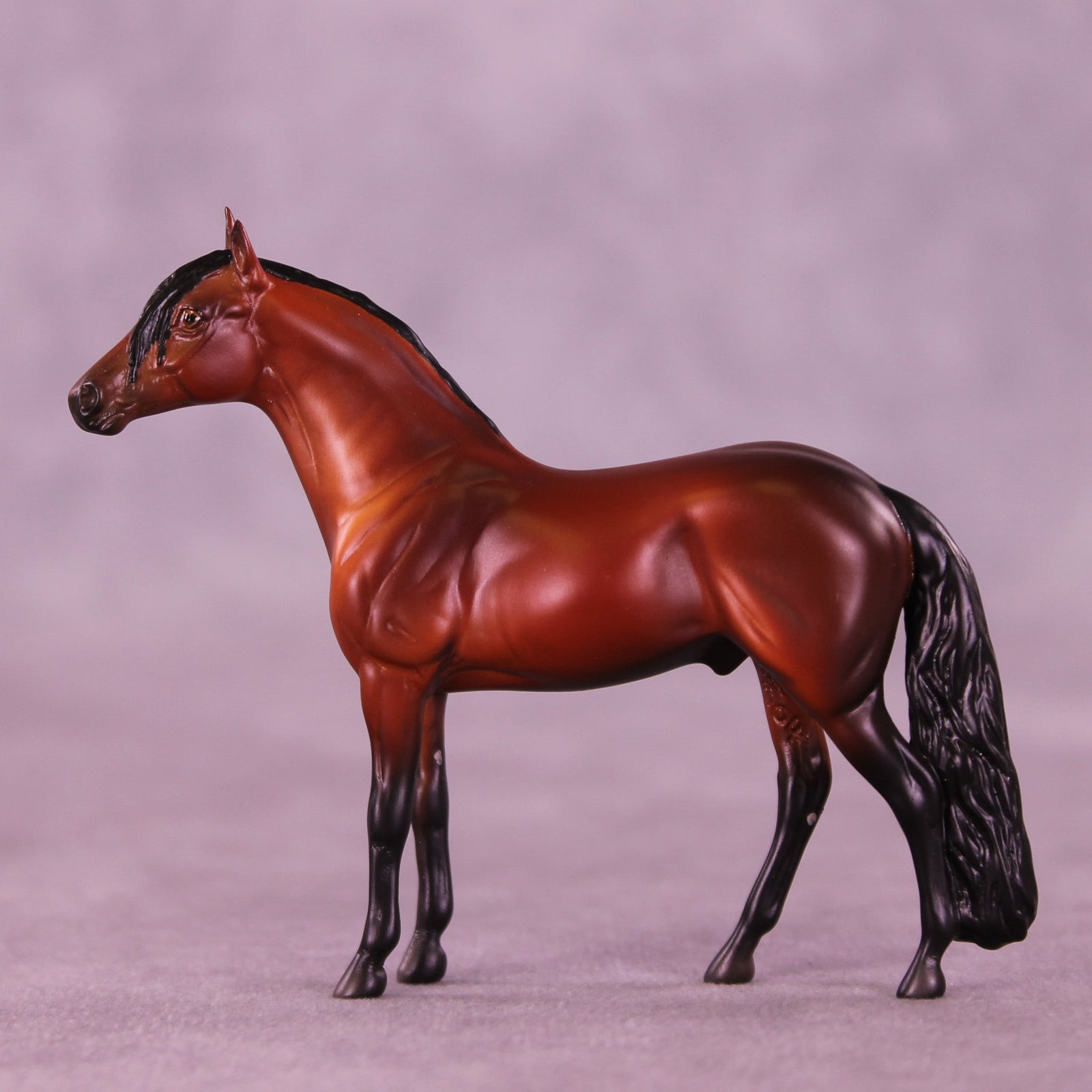 Suitor OOAK Chip Andalusian by Anna Rieck VV26