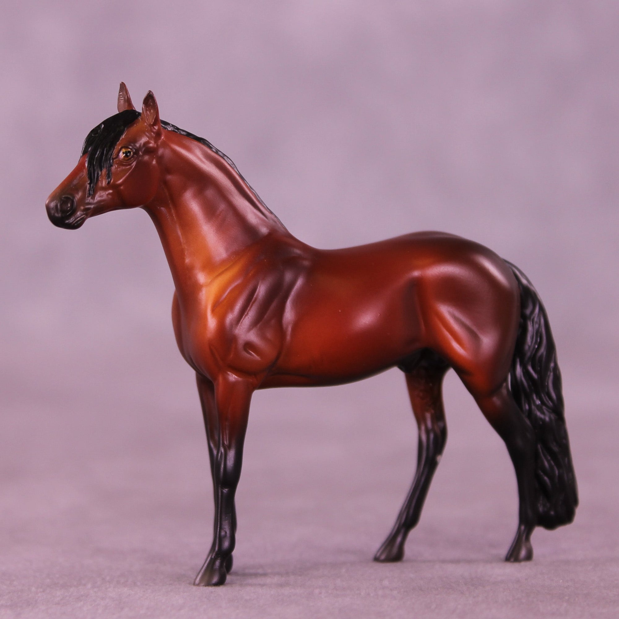 Suitor OOAK Chip Andalusian by Anna Rieck VV26