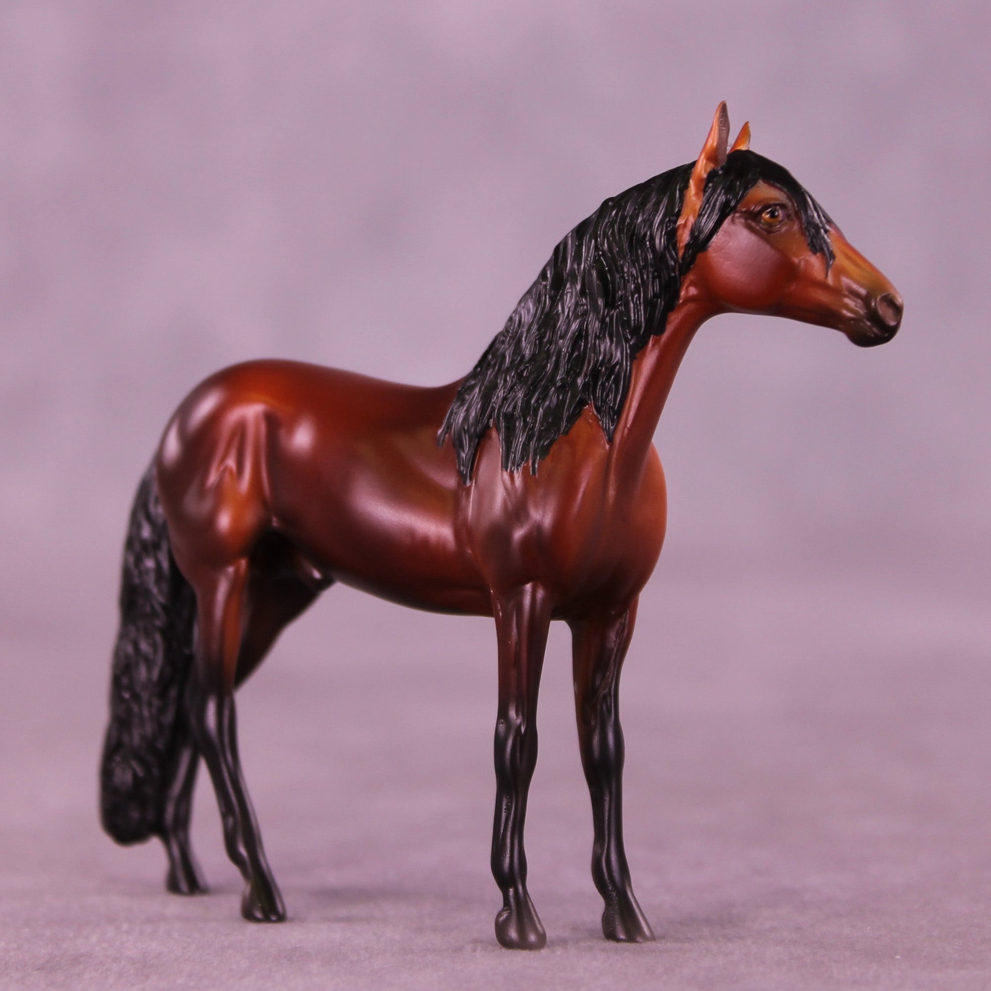 Suitor OOAK Chip Andalusian by Anna Rieck VV26