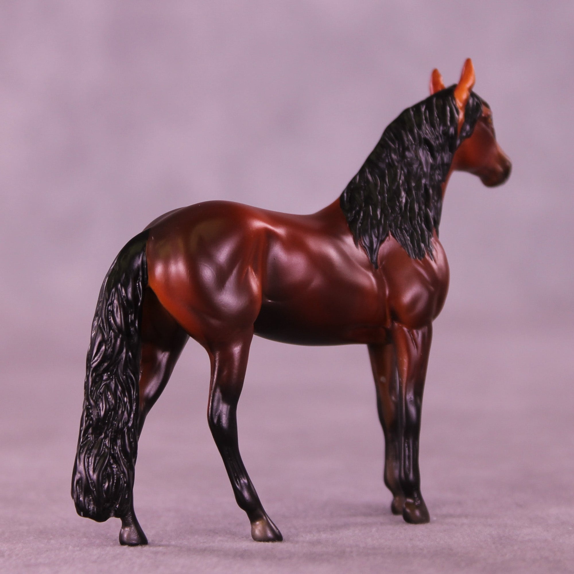 Suitor OOAK Chip Andalusian by Anna Rieck VV26