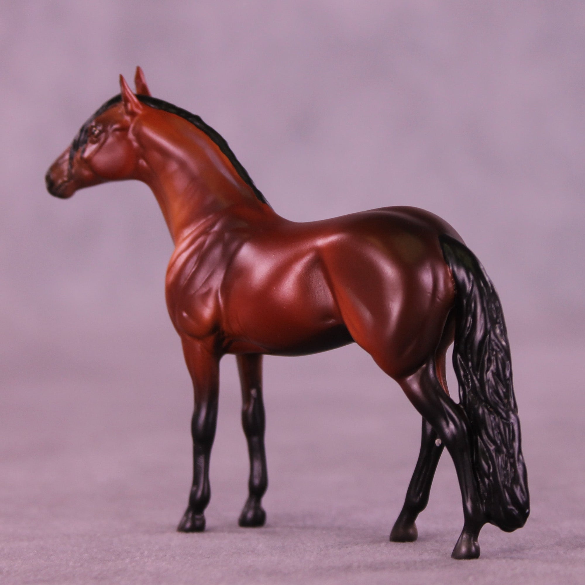 Suitor OOAK Chip Andalusian by Anna Rieck VV26