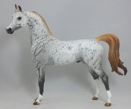 SUMMER SUN DOWN - Leopard Araloosa