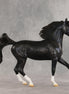 Summertime Sadness OOAK FCM Arabian Mare by Kristen Cermele VV26