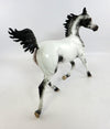 SUNDAY FUNDAY-OOAK APPALOOSA ARABIAN YEARLING MODEL HORSE BY SHERYL LEISURE 2/5/17