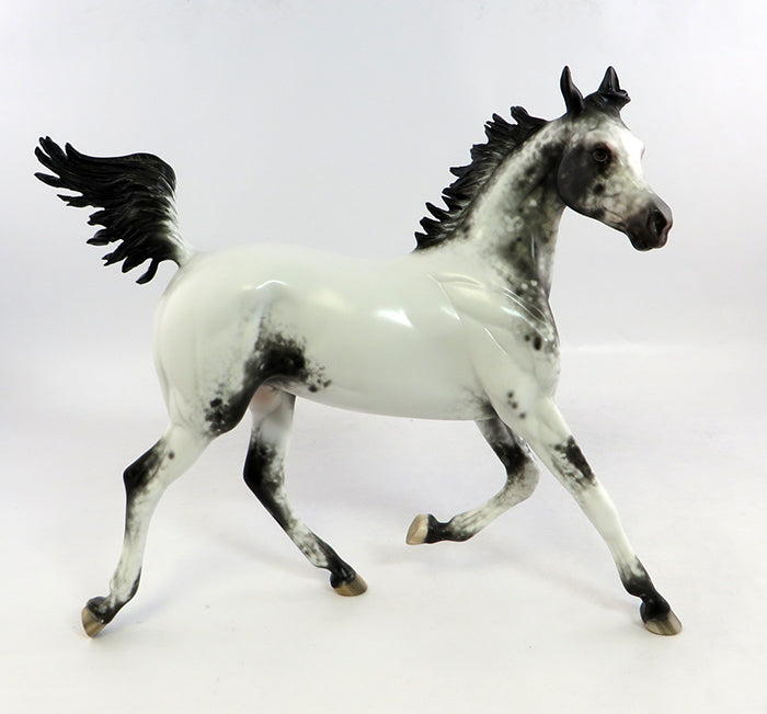 SUNDAY FUNDAY-OOAK APPALOOSA ARABIAN YEARLING MODEL HORSE BY SHERYL LEISURE 2/5/17
