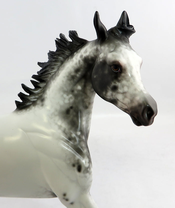 SUNDAY FUNDAY-OOAK APPALOOSA ARABIAN YEARLING MODEL HORSE BY SHERYL LEISURE 2/5/17