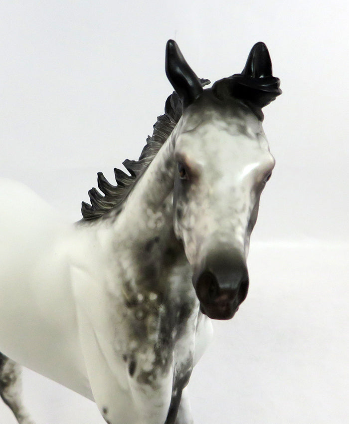 SUNDAY FUNDAY-OOAK APPALOOSA ARABIAN YEARLING MODEL HORSE BY SHERYL LEISURE 2/5/17