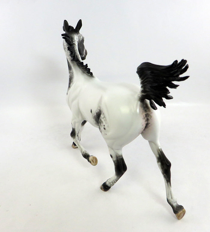 SUNDAY FUNDAY-OOAK APPALOOSA ARABIAN YEARLING MODEL HORSE BY SHERYL LEISURE 2/5/17