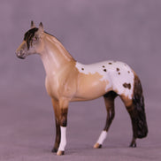 Sweet Heart OOAK Chip Andalusian by Anna Rieck VV26