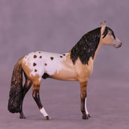Sweet Heart OOAK Chip Andalusian by Anna Rieck VV26