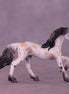 Sweet Treat OOAK Chip Friesian by Anna Rieck VV26