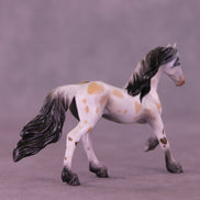 Sweet Treat OOAK Chip Friesian by Anna Rieck VV26