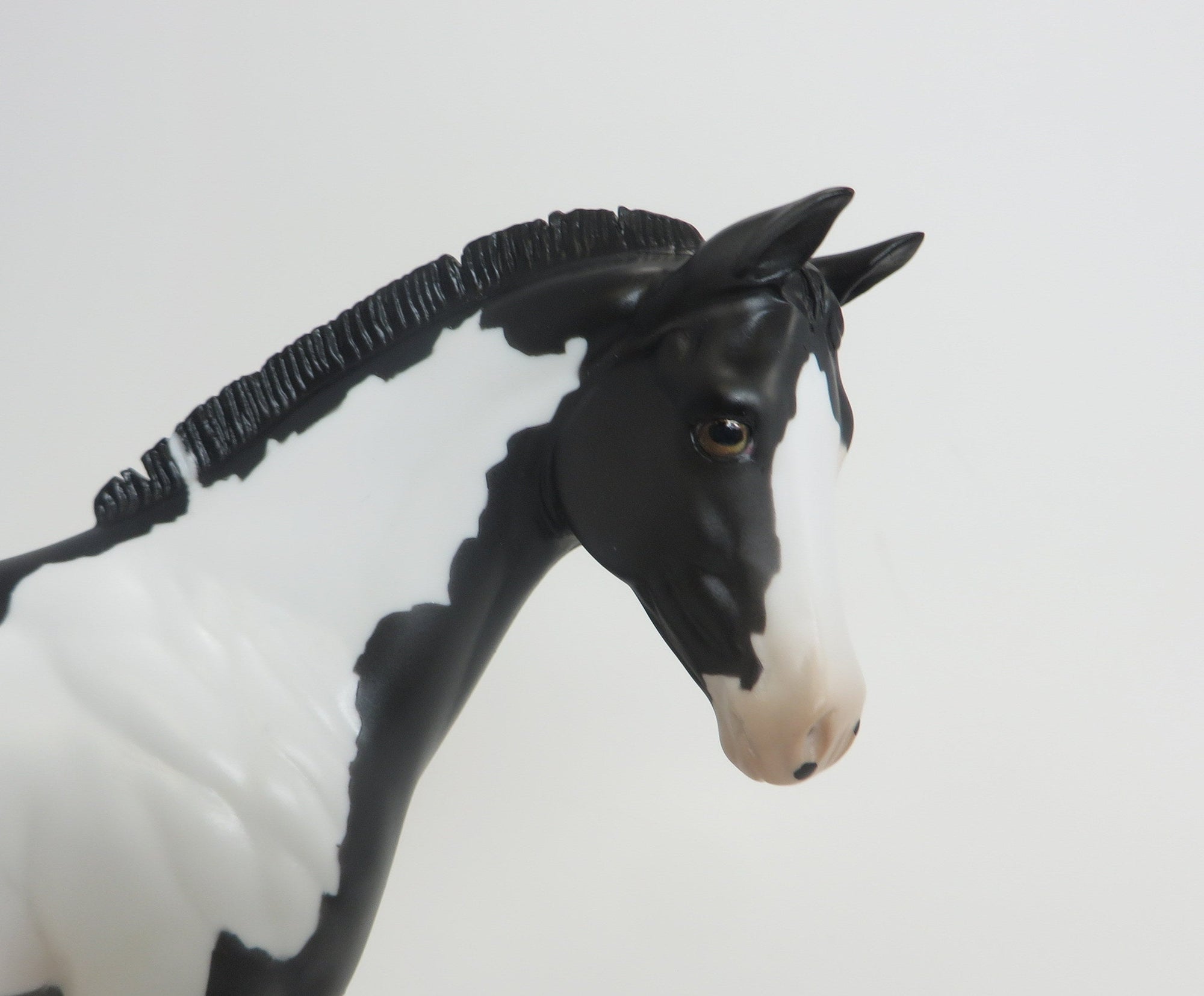 SWIFT ARROW - OOAK Black Framed Overo Weanling Model Horse - 9/2