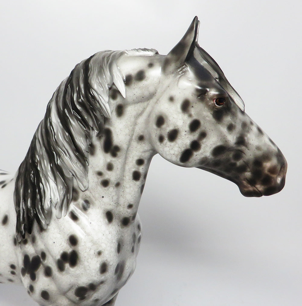 Appaloosa