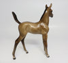 Foal