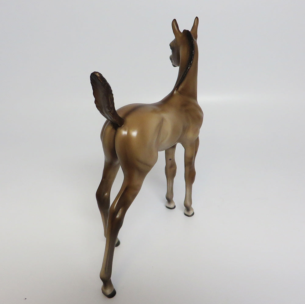 Dorsal Stripe