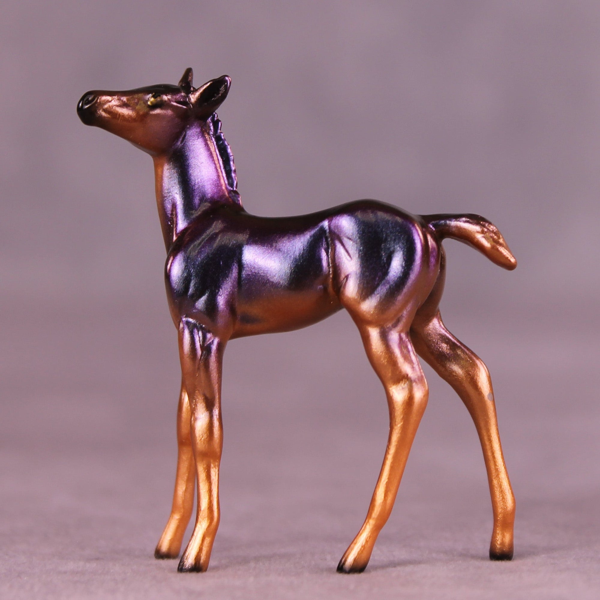 Takeover OOAK Chip Foal by Ellen Robbins MM25 Group A