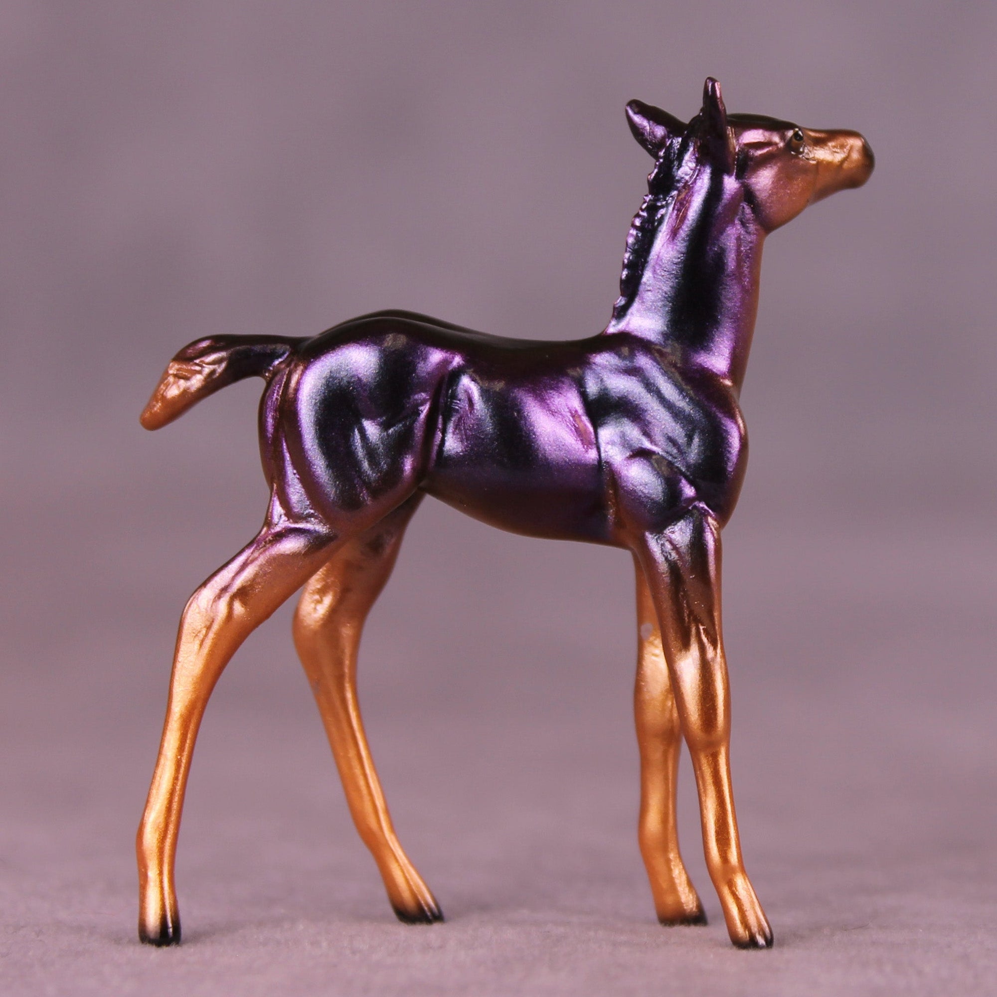 Takeover OOAK Chip Foal by Ellen Robbins MM25 Group A