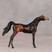 Tall Dark and Handsome OOAK Chip Arabian by Anna Rieck VV26