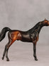 Tall Dark and Handsome OOAK Chip Arabian by Anna Rieck VV26