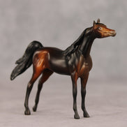 Tall Dark and Handsome OOAK Chip Arabian by Anna Rieck VV26