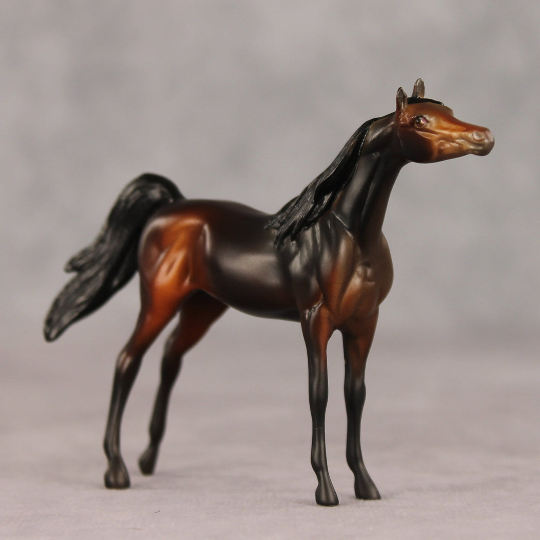 Tall Dark and Handsome OOAK Chip Arabian by Anna Rieck VV26