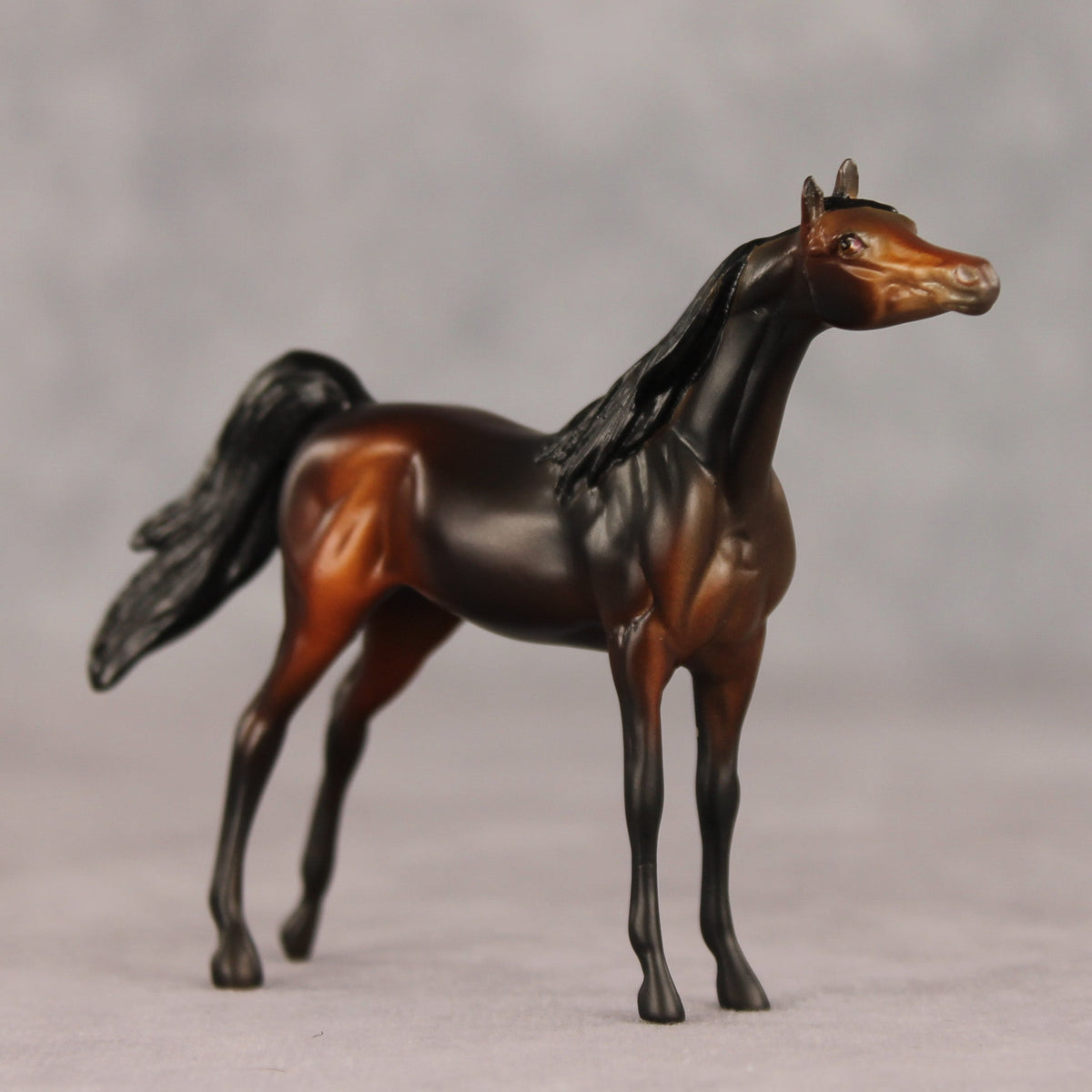 Tall Dark and Handsome OOAK Chip Arabian by Anna Rieck VV26