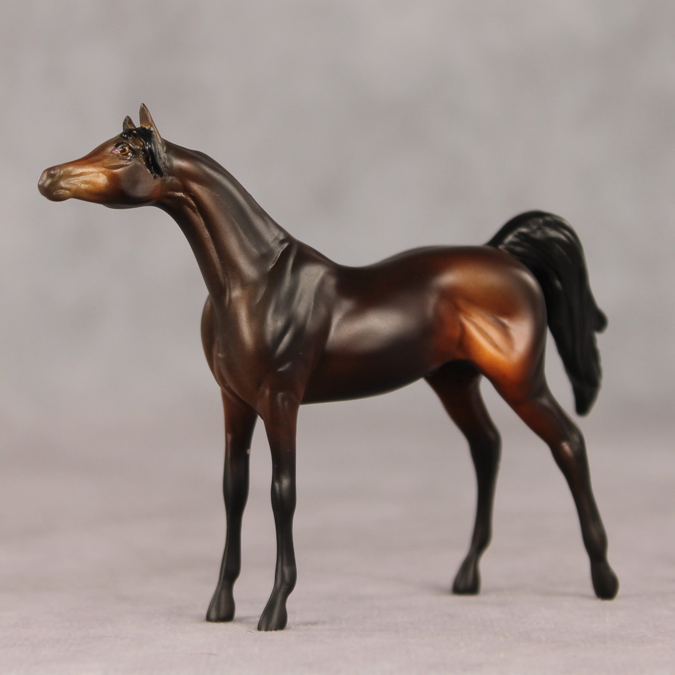 Tall Dark and Handsome OOAK Chip Arabian by Anna Rieck VV26
