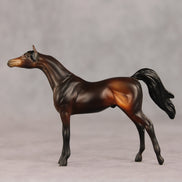 Tall Dark and Handsome OOAK Chip Arabian by Anna Rieck VV26