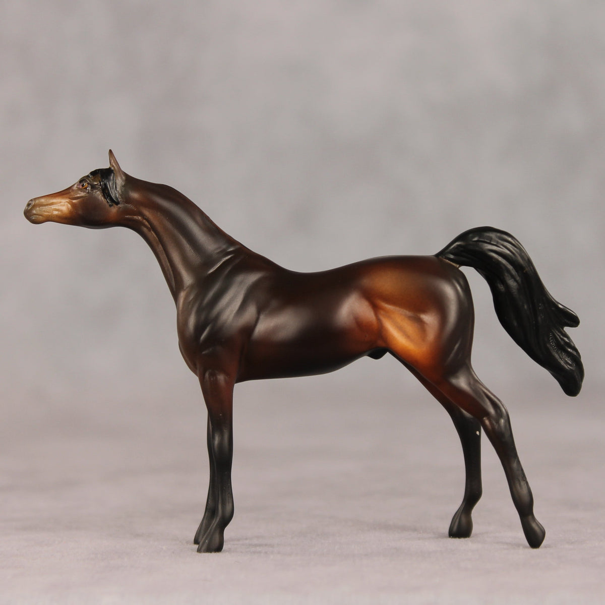 Tall Dark and Handsome OOAK Chip Arabian by Anna Rieck VV26