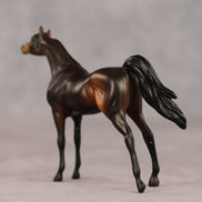 Tall Dark and Handsome OOAK Chip Arabian by Anna Rieck VV26