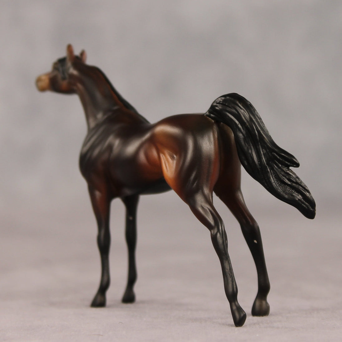 Tall Dark and Handsome OOAK Chip Arabian by Anna Rieck VV26