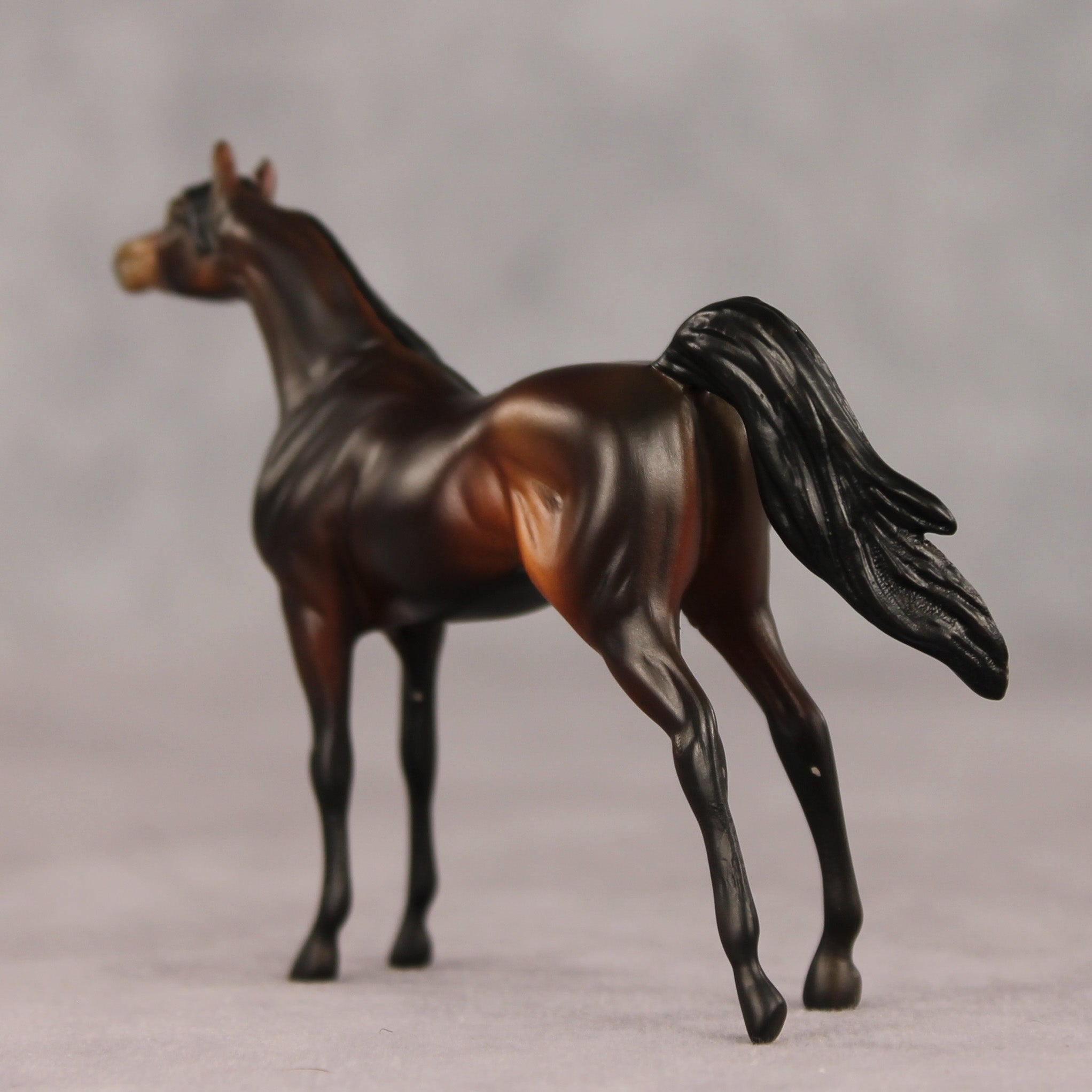 Tall Dark and Handsome OOAK Chip Arabian by Anna Rieck VV26