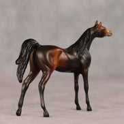 Tall Dark and Handsome OOAK Chip Arabian by Anna Rieck VV26