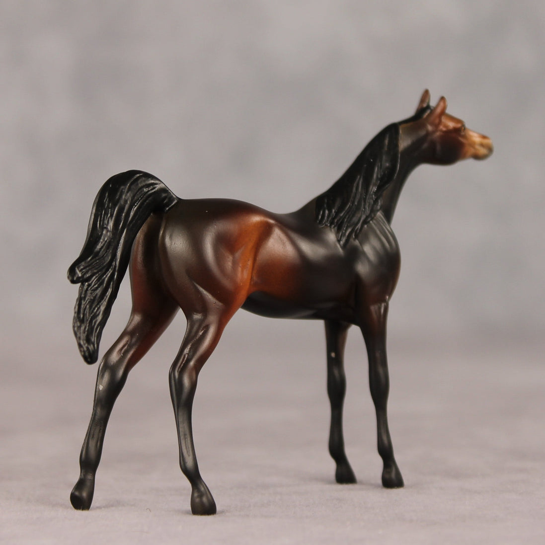 Tall Dark and Handsome OOAK Chip Arabian by Anna Rieck VV26