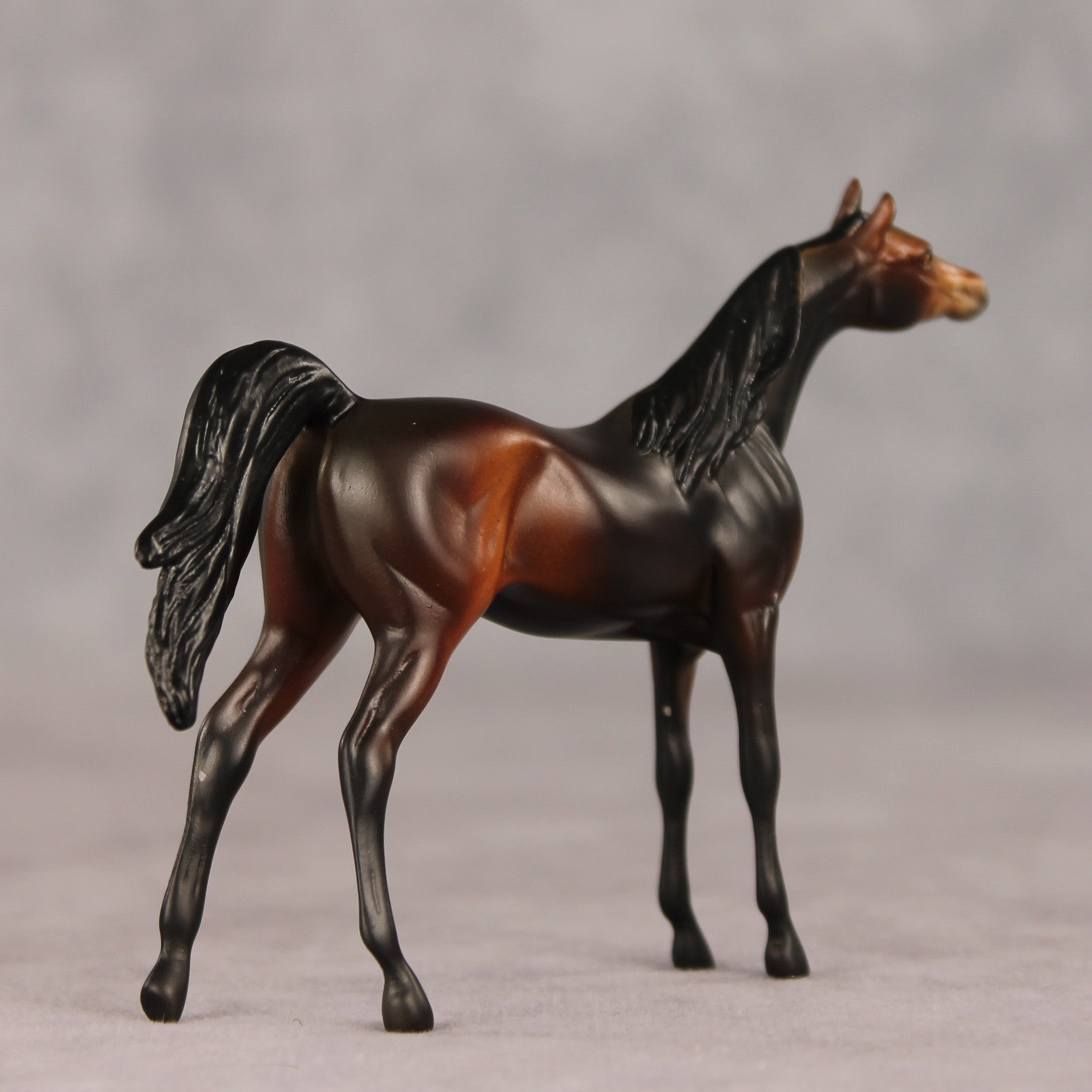 Tall Dark and Handsome OOAK Chip Arabian by Anna Rieck VV26