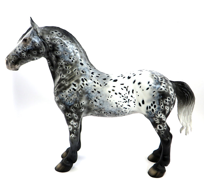 TEBOW-OOAK LOUD APPALOOSA STANDING DRAFTER BY DAWN QUICK 2/5/17