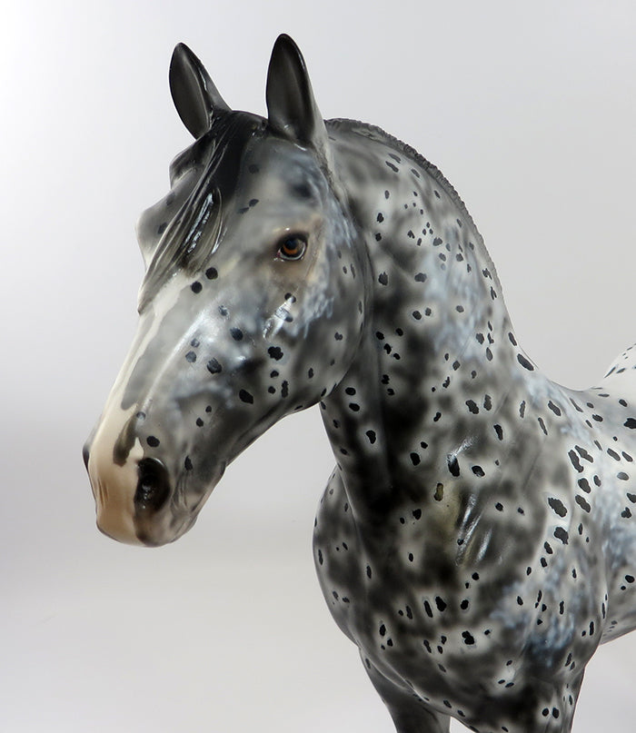 TEBOW-OOAK LOUD APPALOOSA STANDING DRAFTER BY DAWN QUICK 2/5/17